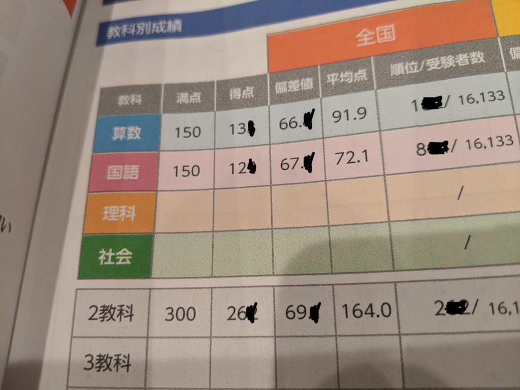 全国統一小学生テスト 5年生 11月実施（決勝大会問題付き ）計２回分